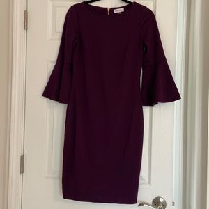 Calvin Klein Funnel Sleeve Dress
